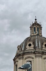 A seagull perched confidently in the foreground, with the majestic dome of a baroque church rising behind it against a gray overcast sky in Rome.