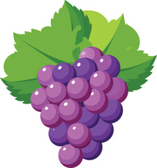 bunch of grapes logo, grapes isolated on a white background, 