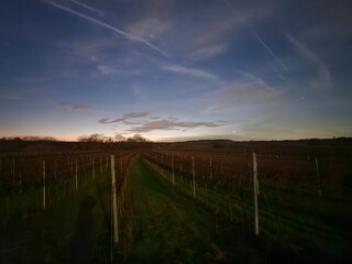 Sonnenuntergang mit Weingärten