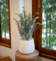 Small artificial green plants decoration in the restaurant or in the living room