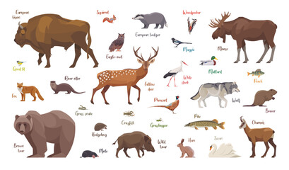 Naklejka premium Flat set of european animals. Isolated animals on white background. Vector illustration