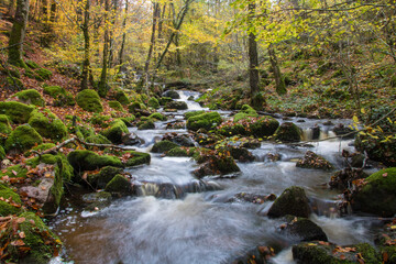 	
cascade de Brisecou près d'Autun en Bourgogne en automne	
