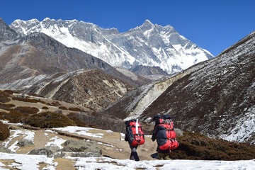 Nepali Porters carring trekker's luggage