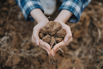 Top view of soil in hands for check the quality of the soil for control soil quality before seed plant. Future agriculture concept. Smart farming, using modern technologies in agriculture