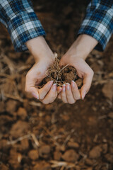 Top view of soil in hands for check the quality of the soil for control soil quality before seed plant. Future agriculture concept. Smart farming, using modern technologies in agriculture