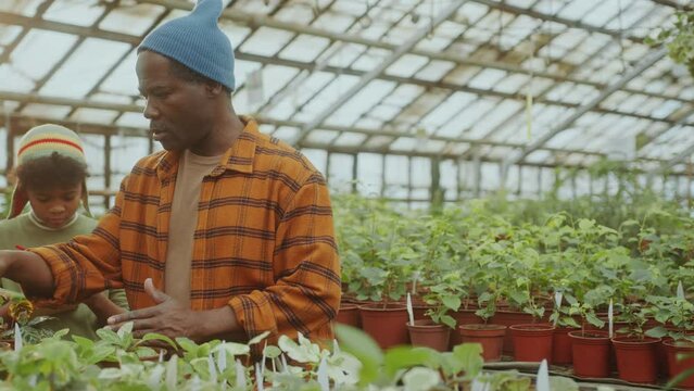 Senior African-American farmer counting potted plants and telling numbers to little grandson taking notes in copybook and helping around greenhouse
