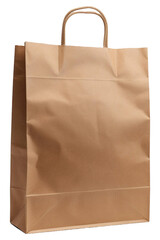 Paper shopping bag 