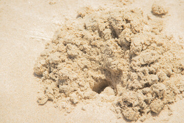 Crab hole on the beach