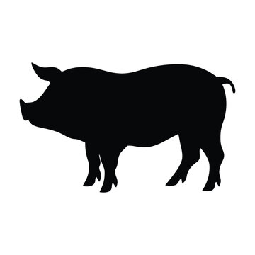 recommend clip art: silhouette of a pig, pig icon art design pig vector illustration with a white background