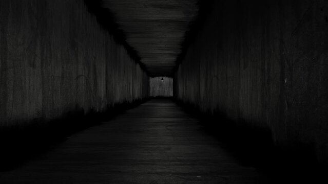 A dungeon video footage featuring a camera ascending through a dark corridor as a rat scurries by, with a flickering lamp at the end.