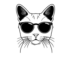 cat with sunglasses, stylish cat, cool cat, shades, fashion pet, cute kitten