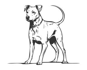 illustration of a dog, stray dog in the streets, line art doggy, pencil art, golden retriever