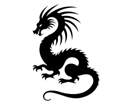 black and white dragon tattoo, wyvern, mythical animal, tattoo line art