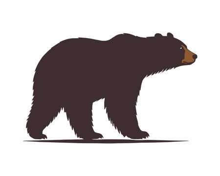 brown bear silhouette, mountain bear, black bear, wild animals, forest animal