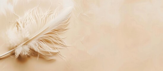 Close up of Beautiful fluffy abstract feathers on beige background. copy space. generative AI image