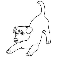 Dog 2