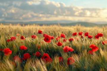 Foto op Canvas field of red poppies in spring © Olha