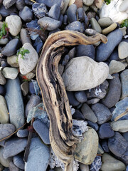 Wood on stones