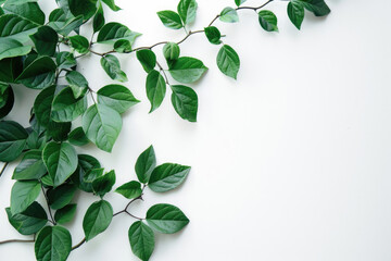 A modern arrangement of lush green leaves adorning a white wall