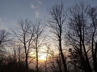 Woods and sunset beautiful nature 