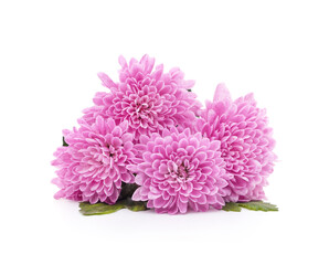 Bouquet of purple chrysanthemums.