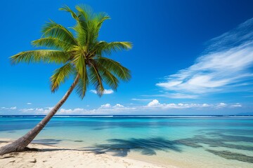 Fototapeta na wymiar Summer holiday vacation and Maldives island sea tropical beach with palm tree in blue sky background