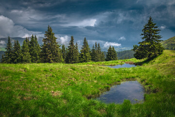 Small lakes on the green meadow at rainy day - 750124361