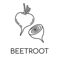 Beetroot vegetable line icons illustration