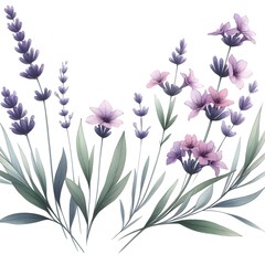 Lavender Flower Bouquet. lavender branches. 