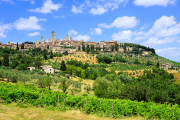 View of the medieval hill town of San Gimignano over fields and olive trees, Tuscany, Italy