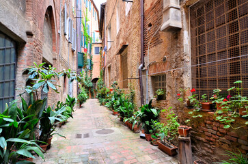 Beautiful street in the medieval old town of Siena, Tuscany, Italy