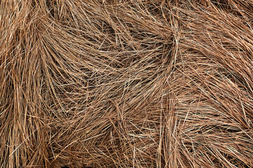 The image displays a dense collection of dry, brown grass strands intermingling with each other.