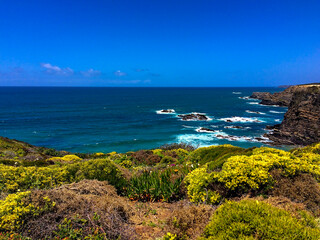 A vibrant coastal scene with lush greenery in the foreground, rocky cliffs, and a deep blue ocean with white waves crashing against the rocks.