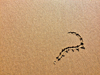 The image displays a question mark imprinted on a smooth sandy ground.