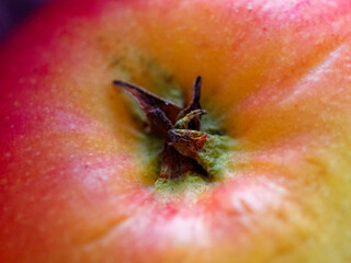 A close-up of a red apple’s surface, highlighting the texture and the dried, brown stem.