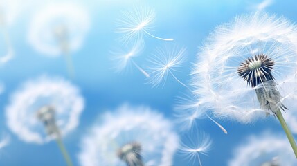 Fluffy dandelion seeds are depicted in extreme detail against a blue background in a captivating macro shot.