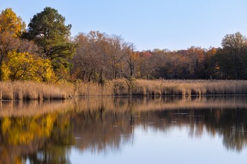 Schöner See in Natur im Herbst