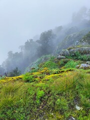 Fog in the mountains - Bufa hill - San Sebastian del Oeste