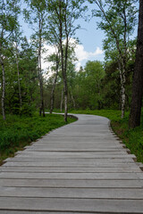 Fototapeta premium Wooden footbridge in a bog