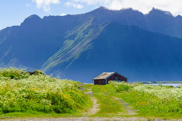 Landscape at Hovsund village Lofoten Norway
