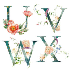 Watercolor floral letters set of U, V, W, X with plants. Hand drawn alphabet symbols of flowers and leaves isolated on white background. Holiday Illustration for design, print, fabric or background. - 750137929