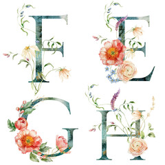 Watercolor floral letters set of F, E, G, H with plants. Hand drawn alphabet symbols of flowers and leaves isolated on white background. Holiday Illustration for design, print, fabric or background. - 750138539