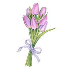 watercolor illustration, botanical art, fresh spring tulips, 
floral background, beautiful bouquet of wild flowers
Tulips flower for background mothers day,texture, 