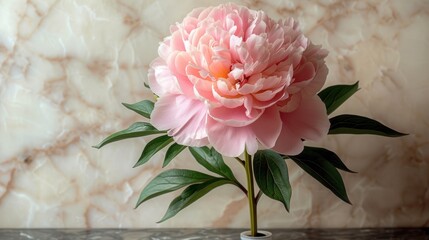 a large pink flower sitting in a vase on a table next to a marble wall with a green leafy stem.
