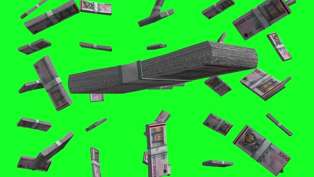 Danish krone banknotes Falling Animation on Green Screen