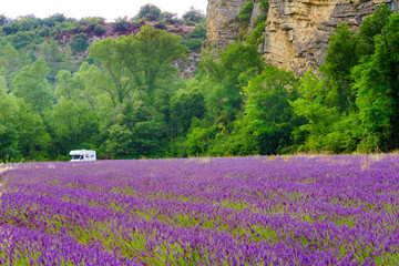 Caravan camping at lavender field, France