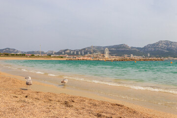 Fototapeta na wymiar Scenic view of Prado beach in Marseille, France