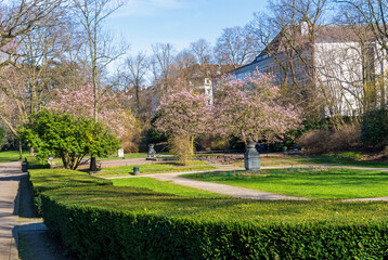 Mühlheimer Stadtgarten, Köln, im Frühling