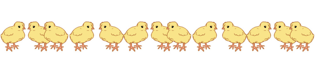 Chick line seamless pattern. Cute chicks frame, background isolated on white for web banners, poster, greeting card, easter templates, flyer, farm products package, book design. poultry farming