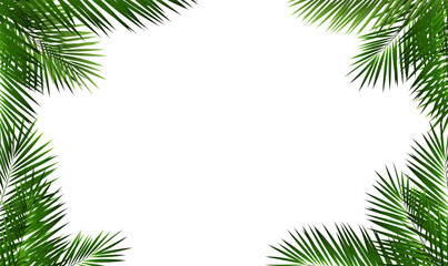 frame of palm leaves